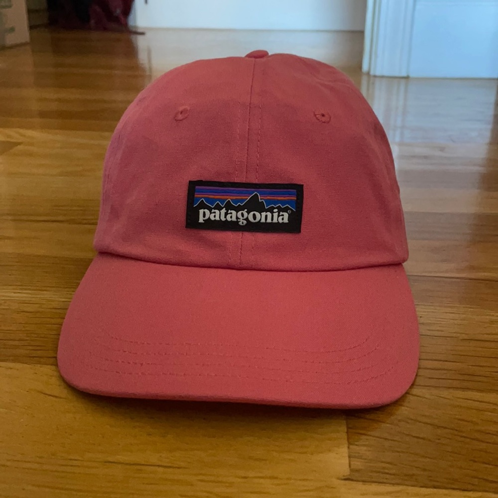 Patagonia 6 panel hat